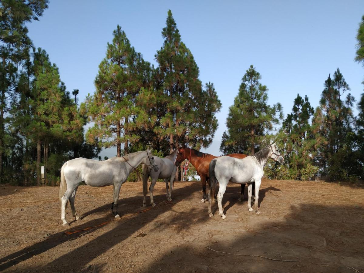 Finca Rural House Tenerife Relax And Enjoy Santa Úrsula Εξωτερικό φωτογραφία
