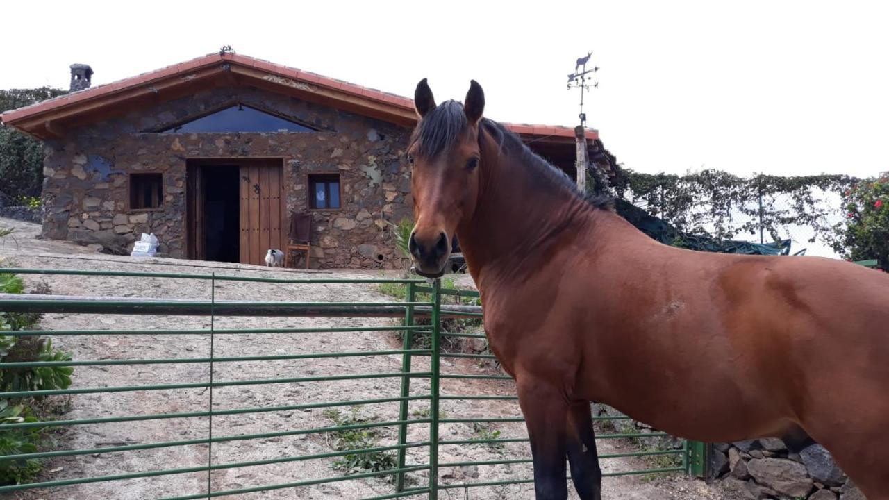 Finca Rural House Tenerife Relax And Enjoy Santa Úrsula Εξωτερικό φωτογραφία