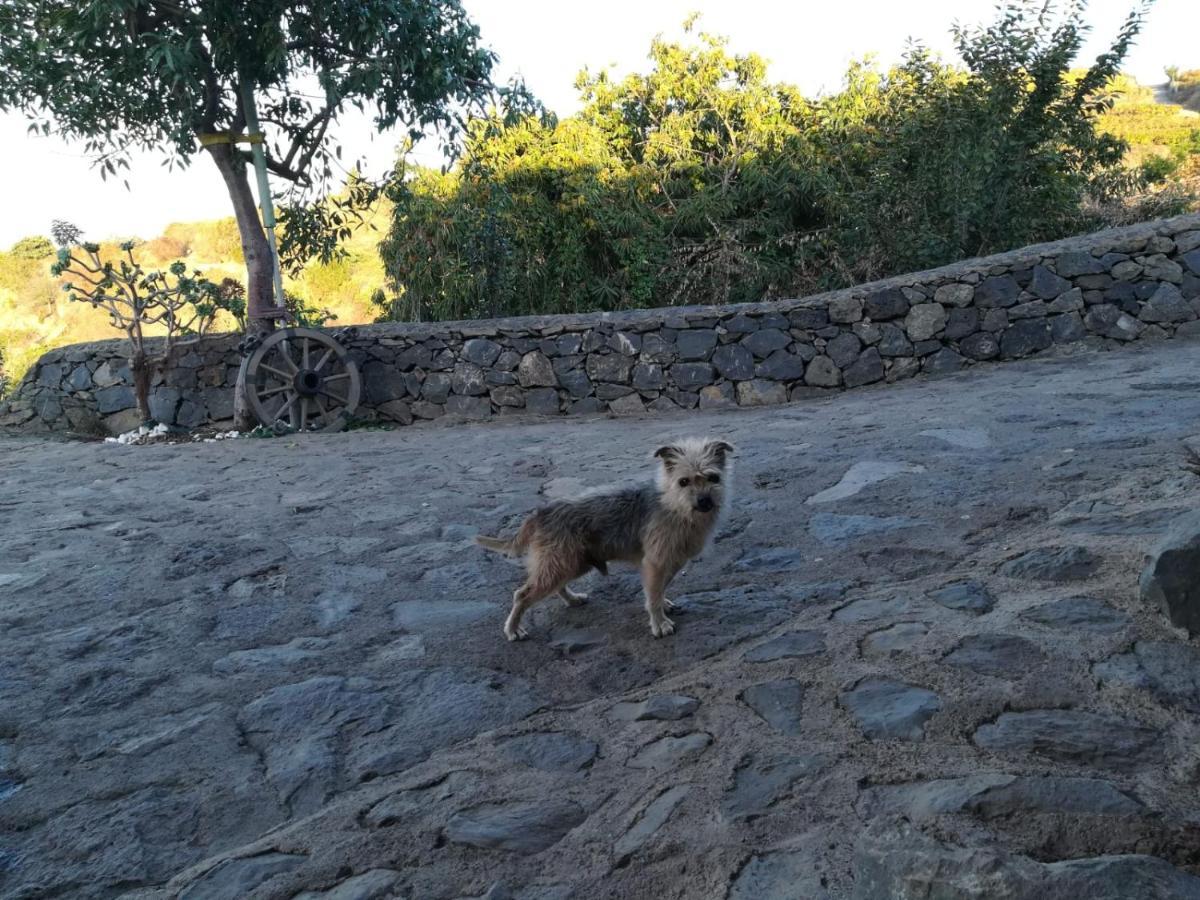 Finca Rural House Tenerife Relax And Enjoy Santa Úrsula Εξωτερικό φωτογραφία