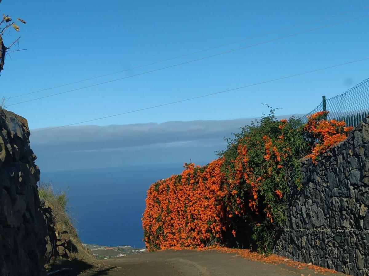 Finca Rural House Tenerife Relax And Enjoy Santa Úrsula Εξωτερικό φωτογραφία