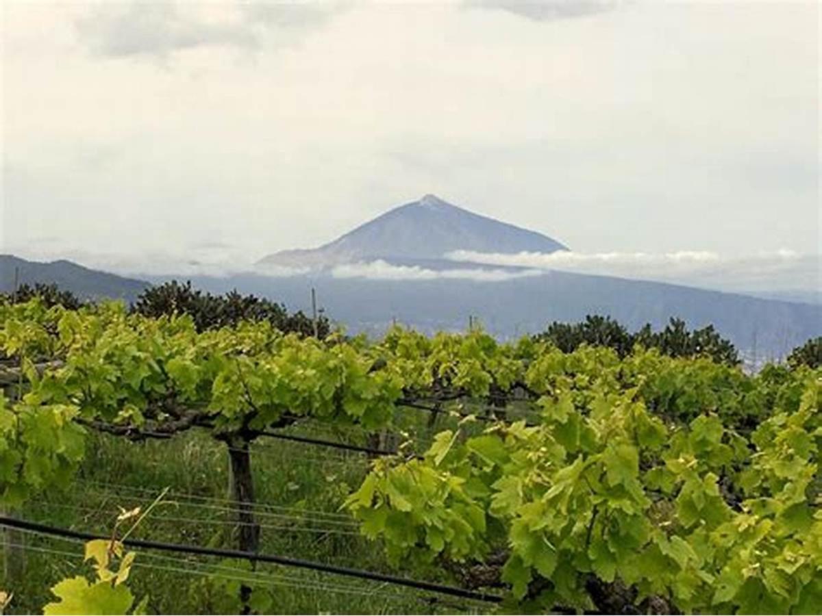 Finca Rural House Tenerife Relax And Enjoy Santa Úrsula Εξωτερικό φωτογραφία