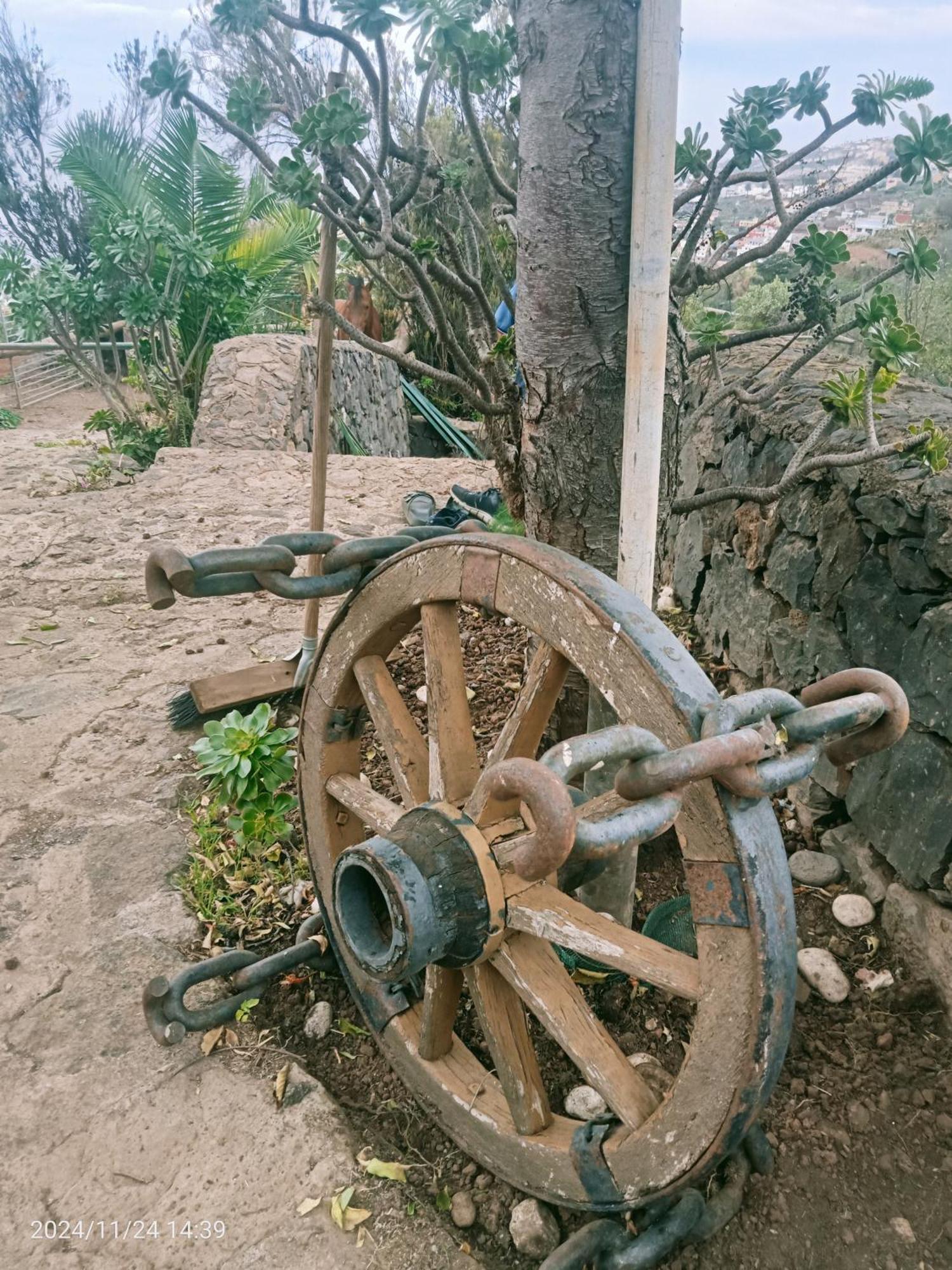 Finca Rural House Tenerife Relax And Enjoy Santa Úrsula Εξωτερικό φωτογραφία