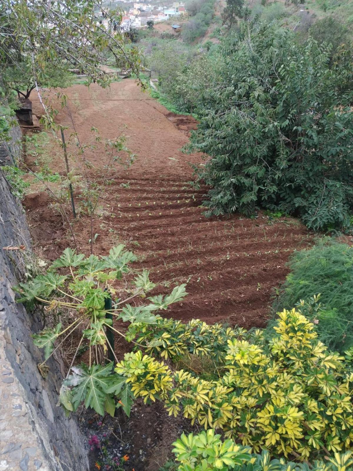 Finca Rural House Tenerife Relax And Enjoy Santa Úrsula Εξωτερικό φωτογραφία