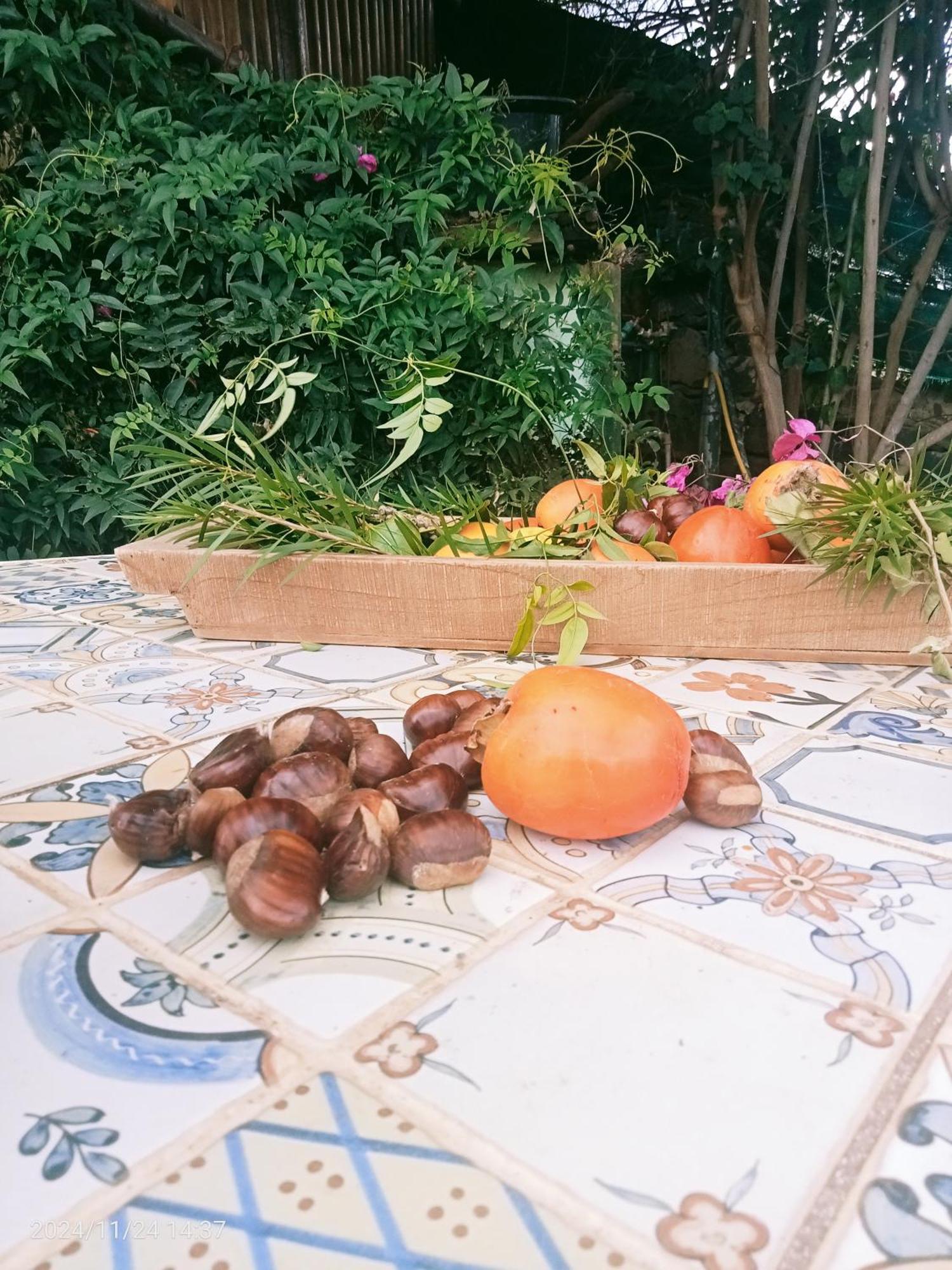Finca Rural House Tenerife Relax And Enjoy Santa Úrsula Εξωτερικό φωτογραφία