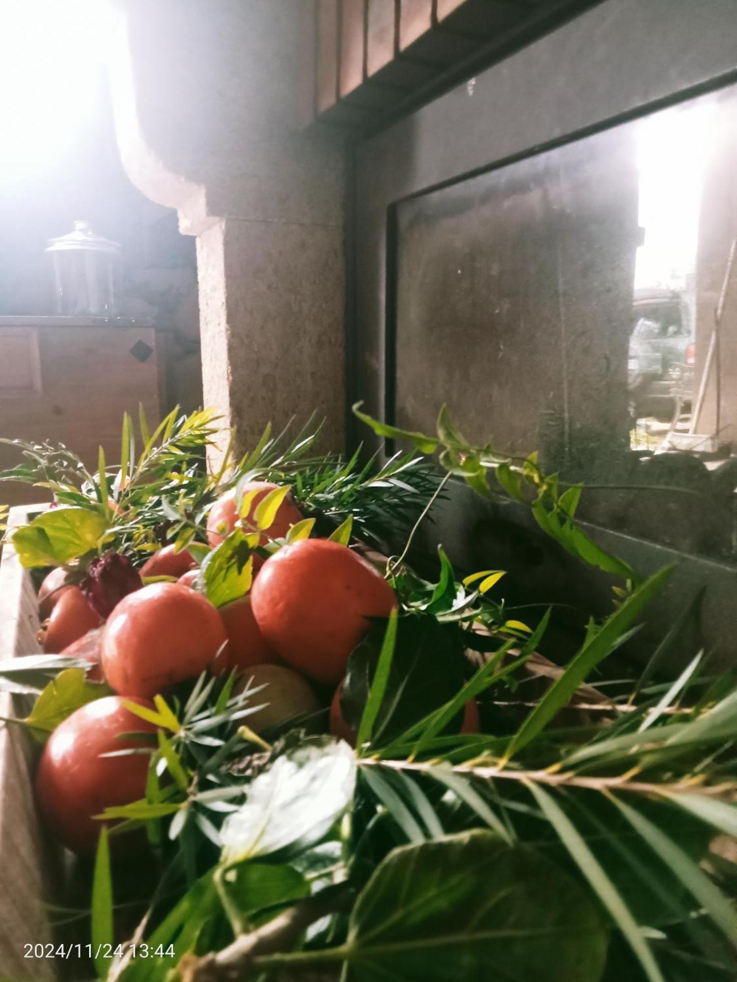 Finca Rural House Tenerife Relax And Enjoy Santa Úrsula Εξωτερικό φωτογραφία