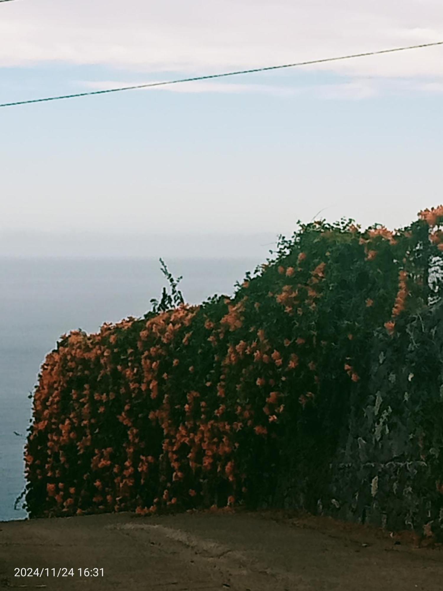 Finca Rural House Tenerife Relax And Enjoy Santa Úrsula Εξωτερικό φωτογραφία
