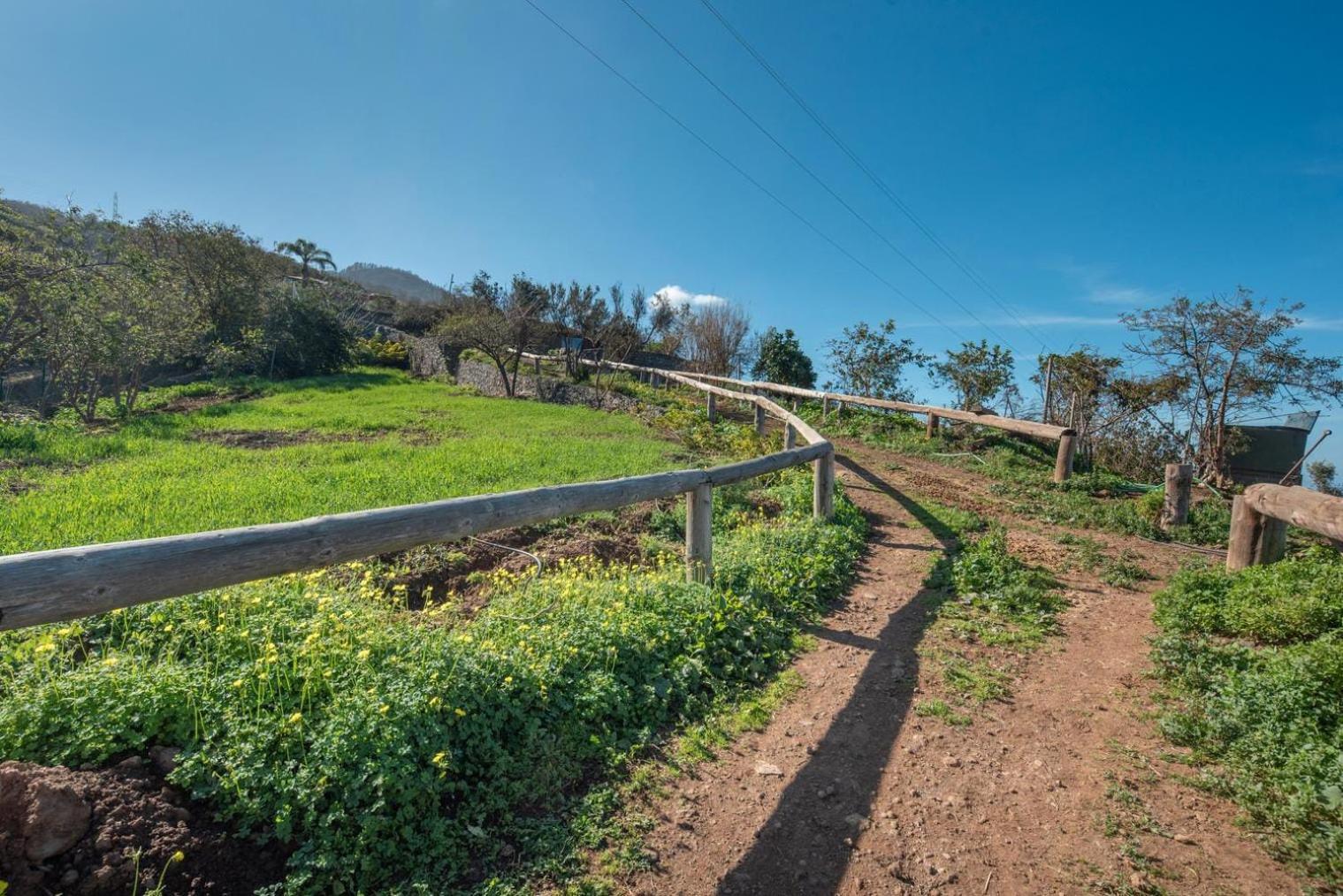Finca Rural House Tenerife Relax And Enjoy Santa Úrsula Εξωτερικό φωτογραφία