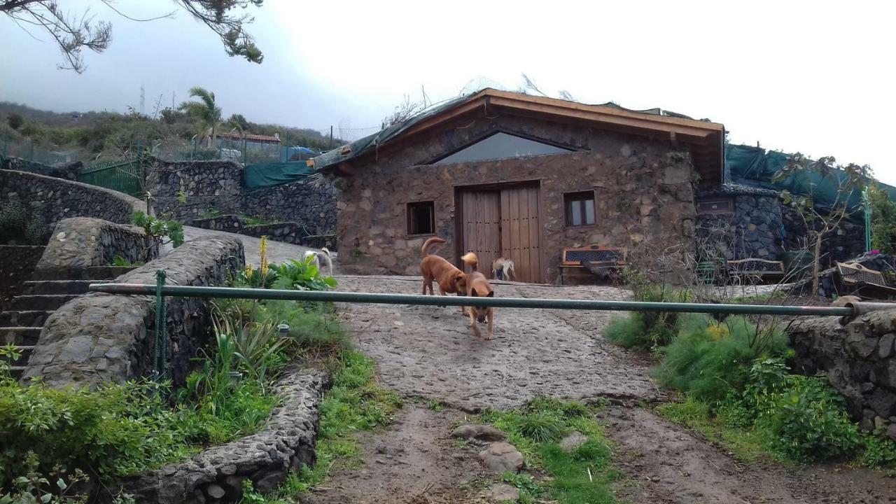 Finca Rural House Tenerife Relax And Enjoy Santa Úrsula Εξωτερικό φωτογραφία