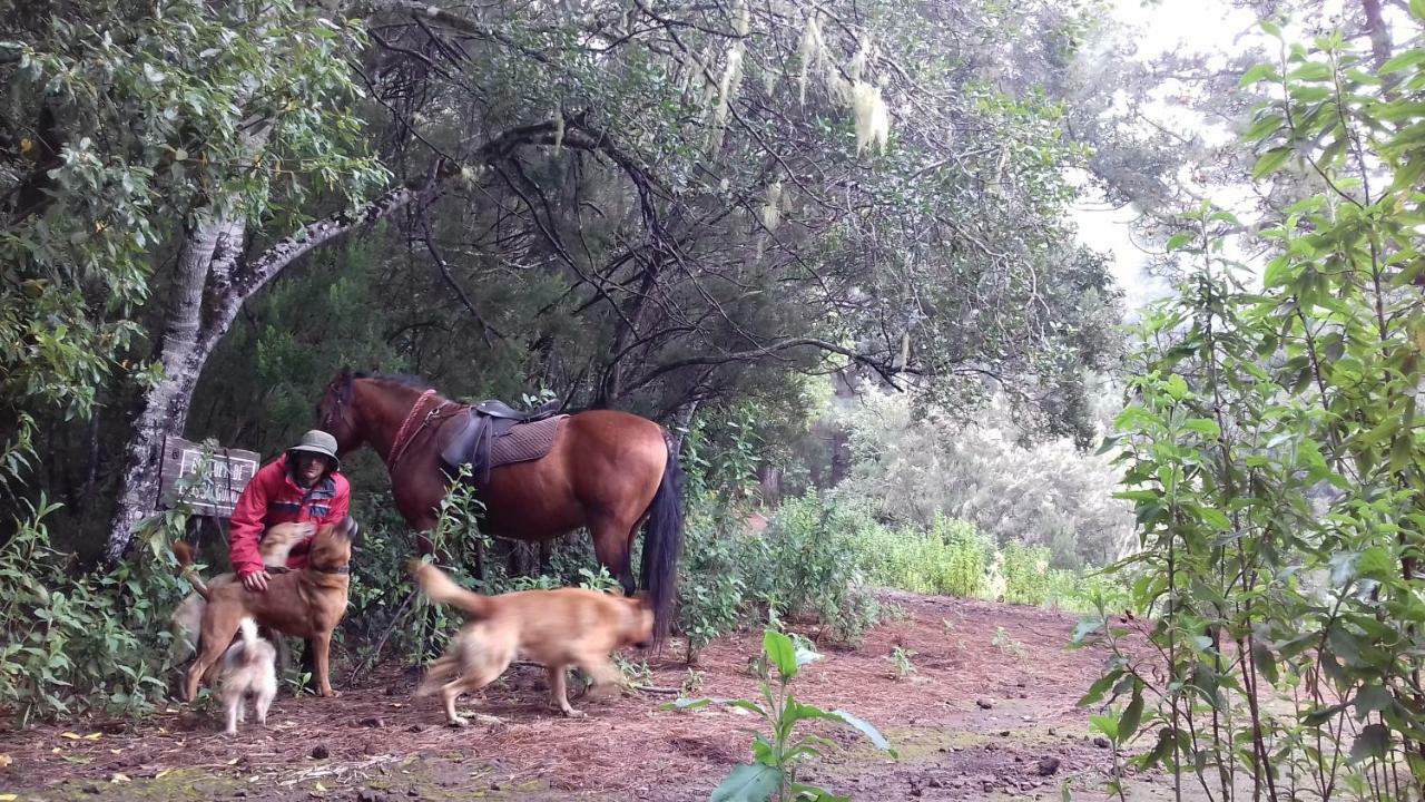 Finca Rural House Tenerife Relax And Enjoy Santa Úrsula Εξωτερικό φωτογραφία