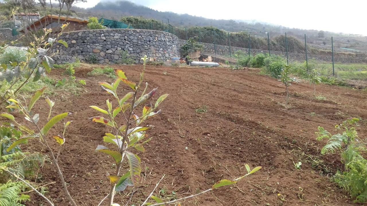 Finca Rural House Tenerife Relax And Enjoy Santa Úrsula Εξωτερικό φωτογραφία