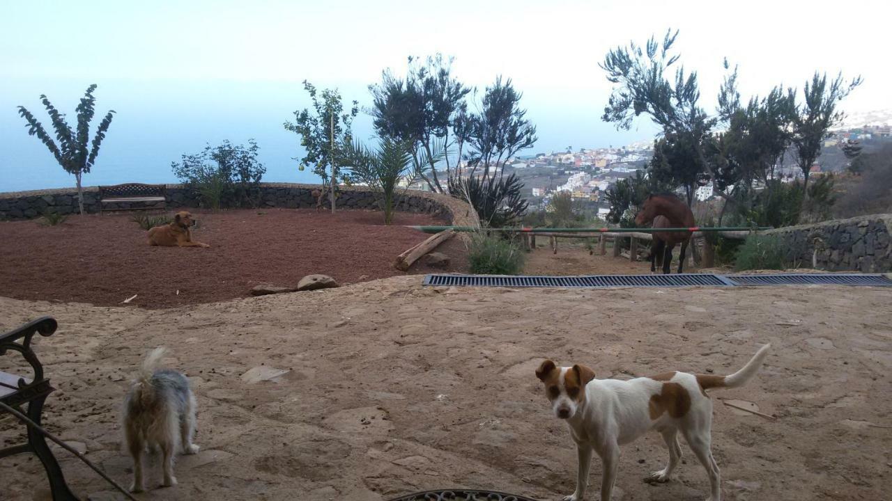 Finca Rural House Tenerife Relax And Enjoy Santa Úrsula Εξωτερικό φωτογραφία